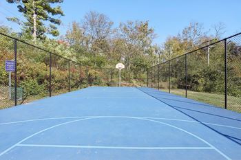 Basketball court